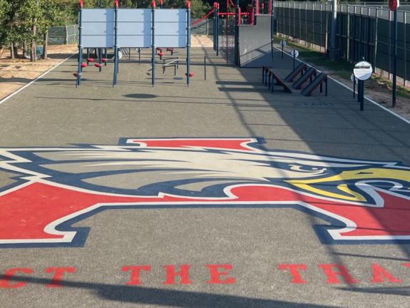 Protect the Titans basketball court logo